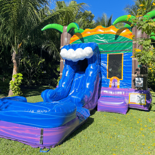 FireFest Bounce House/Slide All Day Entry (1-7 p.m) Age Limits Apply